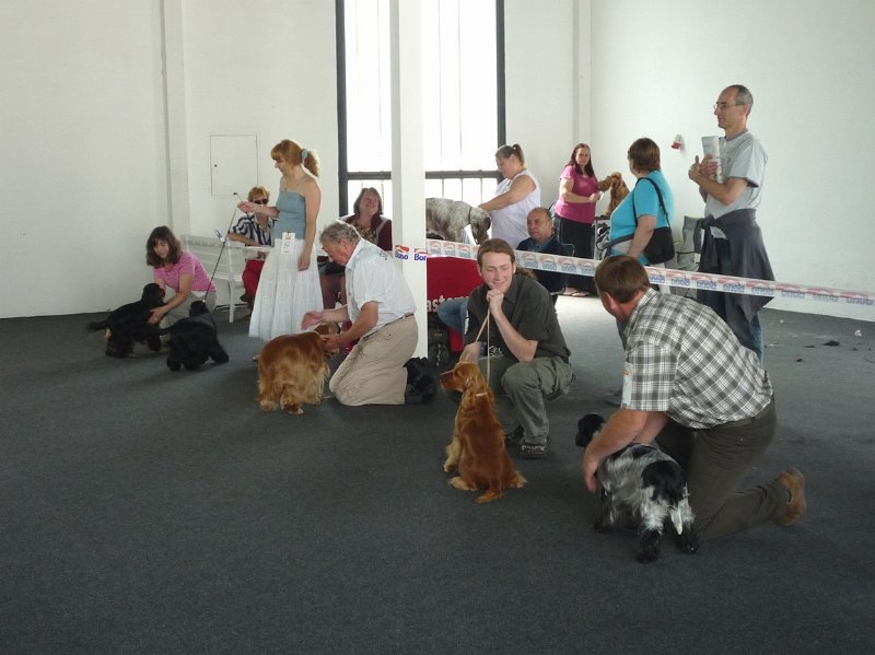 Litomerice 2009 065.jpg